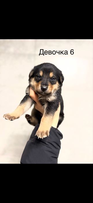 Люді добрі , допоможіть , благаю