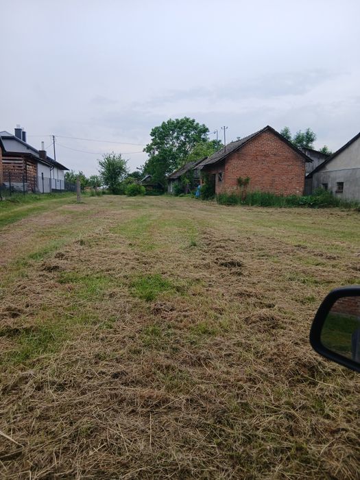 Zdjęcie 5
