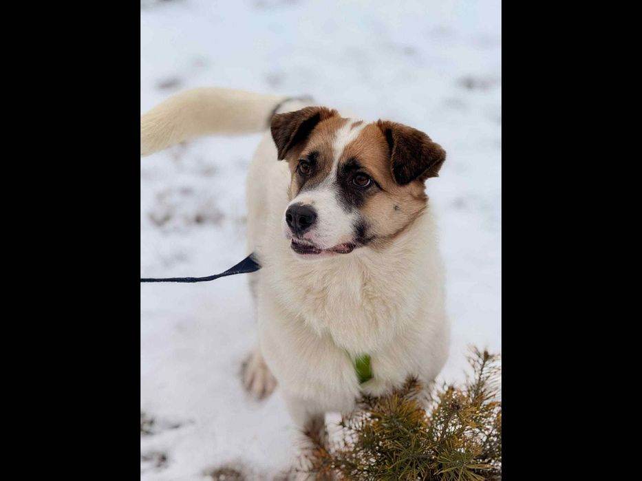 Młodziutki,malutki ,cudowny,tak długo czeka.