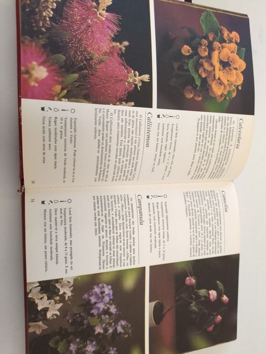 O Livro das Plantas de Rob Hervig e Claude Riou