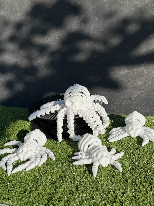 3D іграшки, рухомі скелети восьминога та павуків