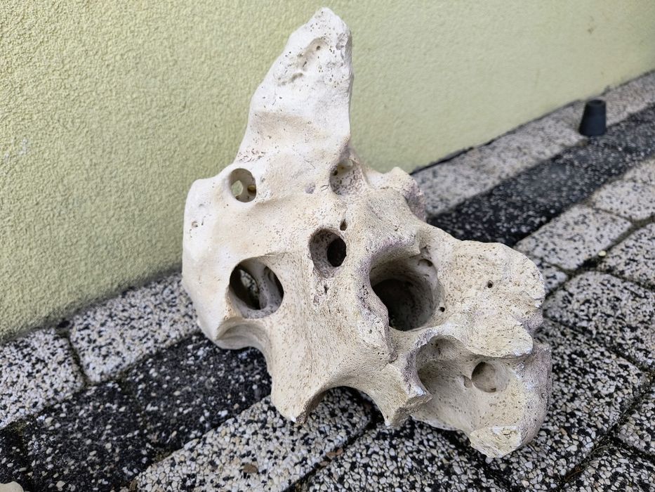Skala Limastone , Wapień filipiński do akwarium