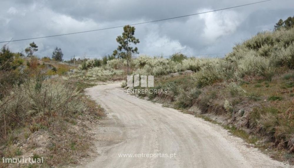 Venda Terreno, Carneiro, Amarante