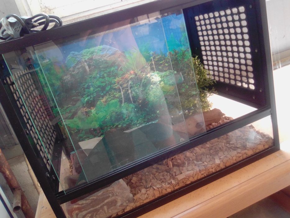 Répteis aquário novo