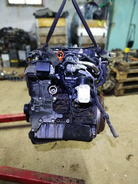 Двигун мотор двигатель 1.6 tdi CAY VW Audi Skoda Seat