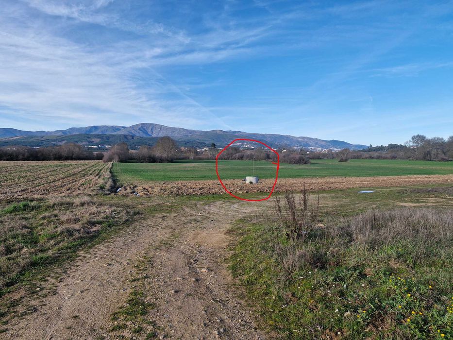 Terreno Rústico cerca de 1 ha