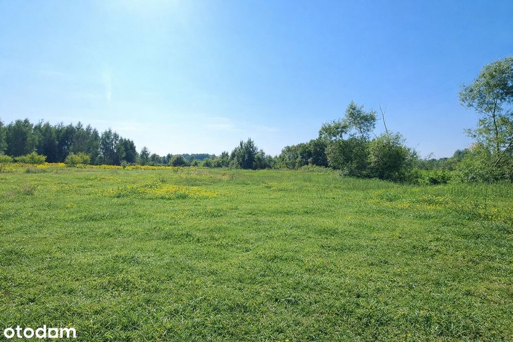 Zdjęcie 8
