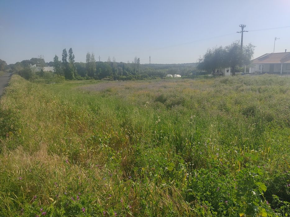 Terreno rústico com 3250 m2