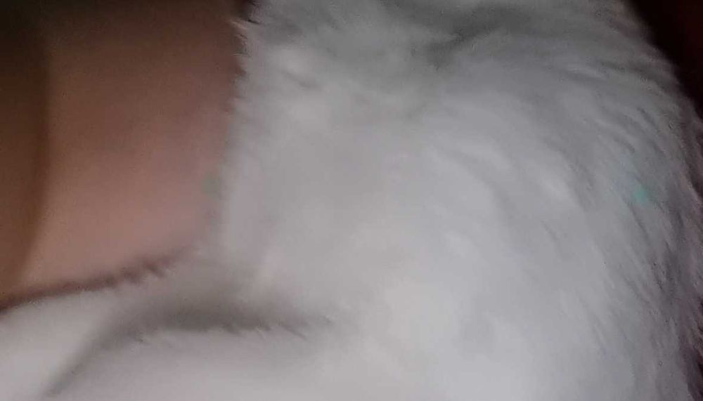 Huawei P40 5G Silver