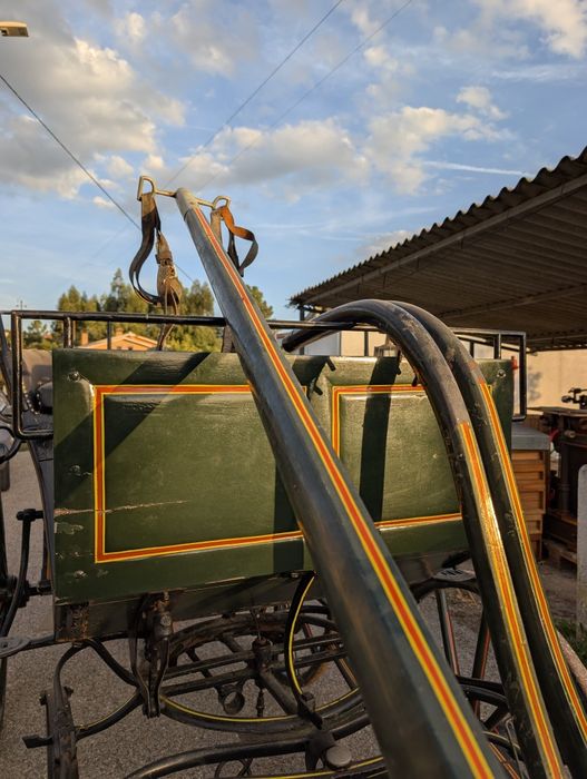 Charrete verde para cavalo ou burro – com travões