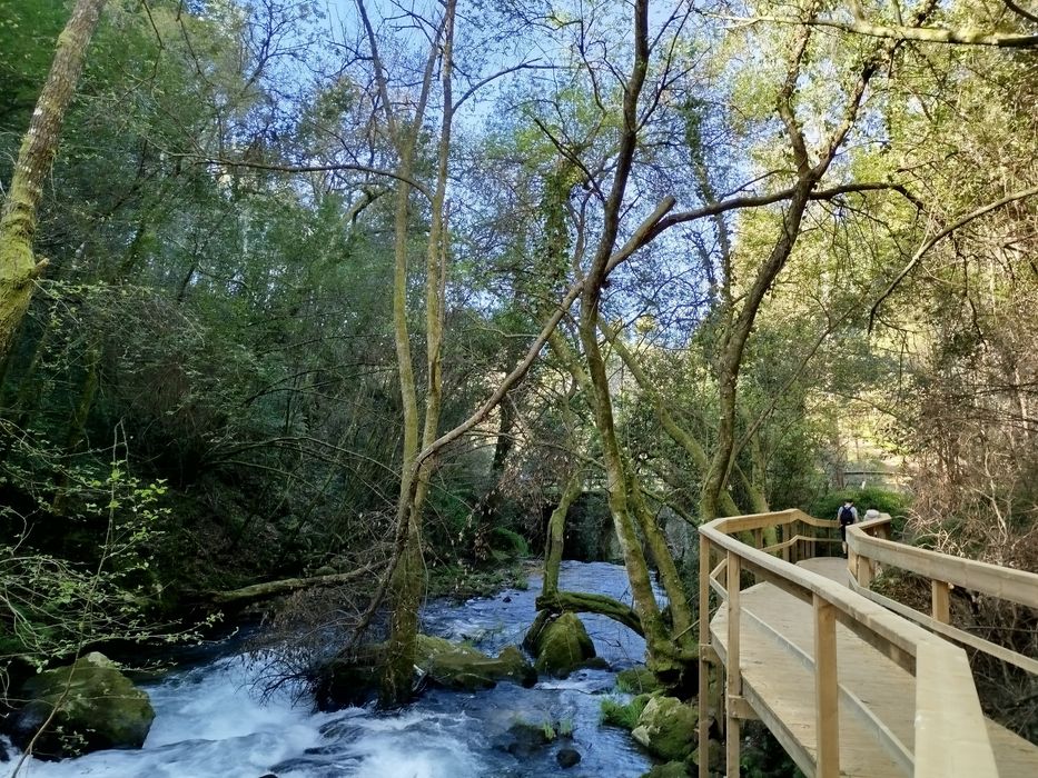 Quinta com casa antiga 7000m2 Pindelo