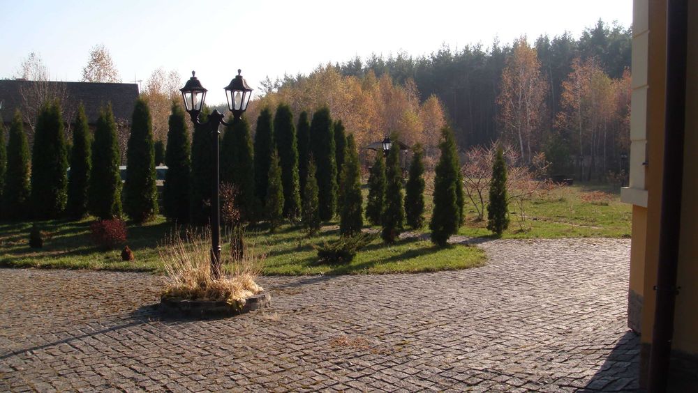 Оренда. Будинок в лісі. Здача від власника. Житомирський напрямок. 35 км від Київа