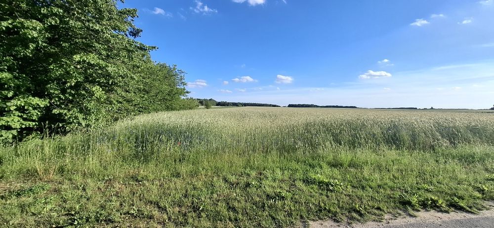 Sprzedam ziemię rolną z częścią działki budowlanej z wydanymi warunkami Zabudowy