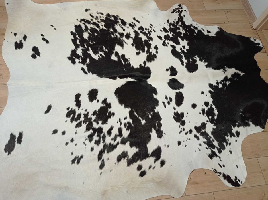 Ogromna Skóra Krowia Naturalna 240x200 cm – Łaciata, Unikat