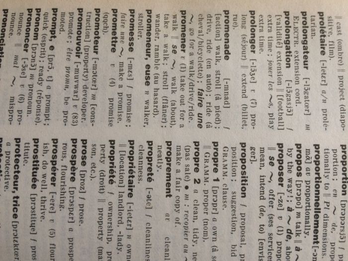 dicionário bilingue frances-ingles