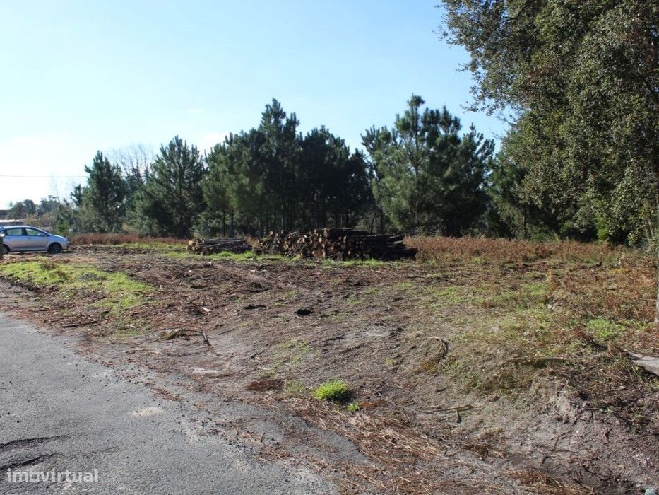 Terreno com área de 5.500 m2 — Marinha Grande, Leiria