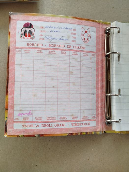 Duck tales dossier disney