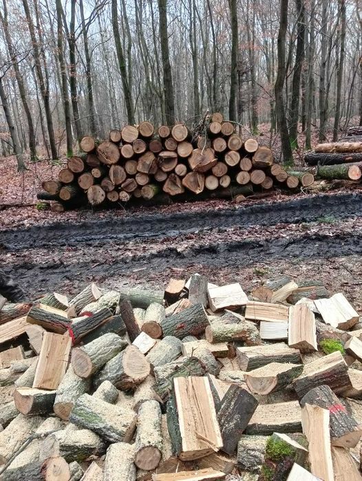 Drewno kominkowe, opałowe, 1 mp- 200 zł. Transport gratis.