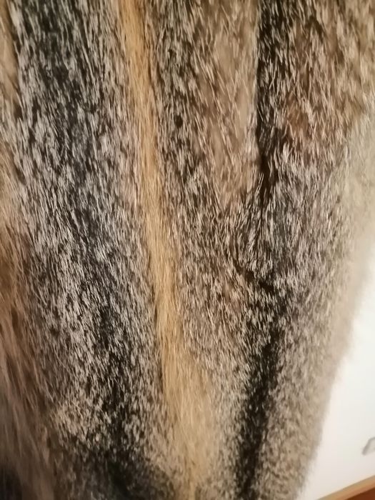 Casaco de peles de raposa do Canadá  verdadeiro