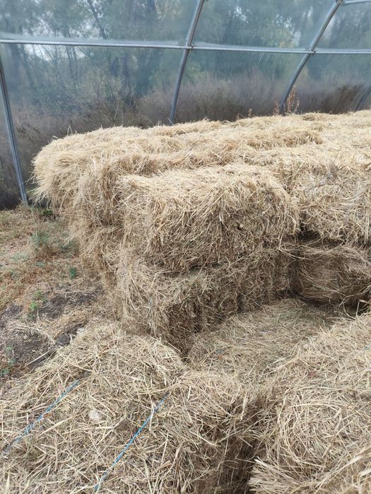 Сіно лугове в тюках