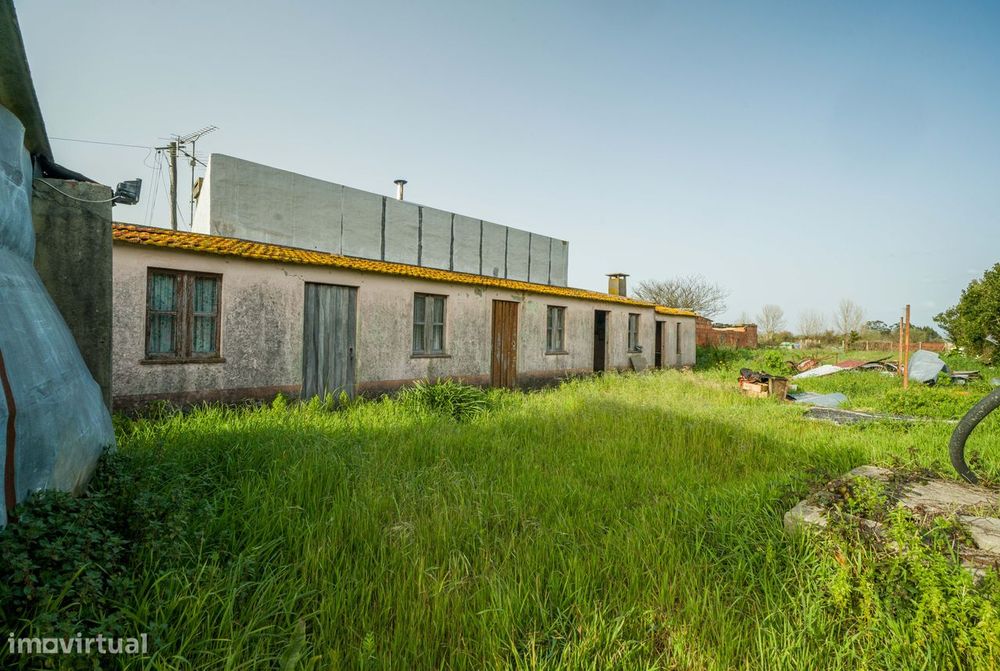 Moradia T3 à venda em Murtosa