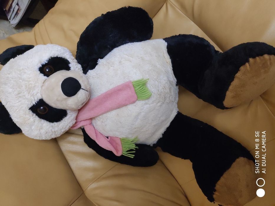 Продам семейку Панд