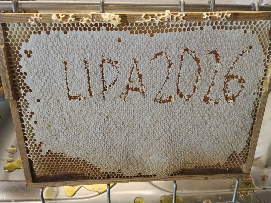 Rodziny pszczele z ulami