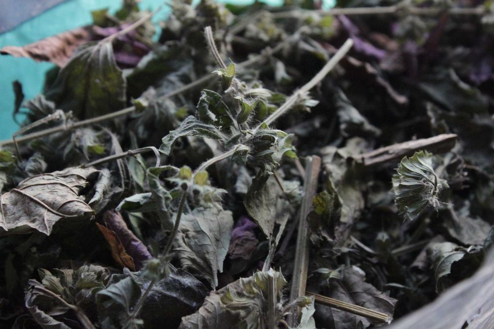 Мята Мелисса Сушеная (пакет 200 грамм)