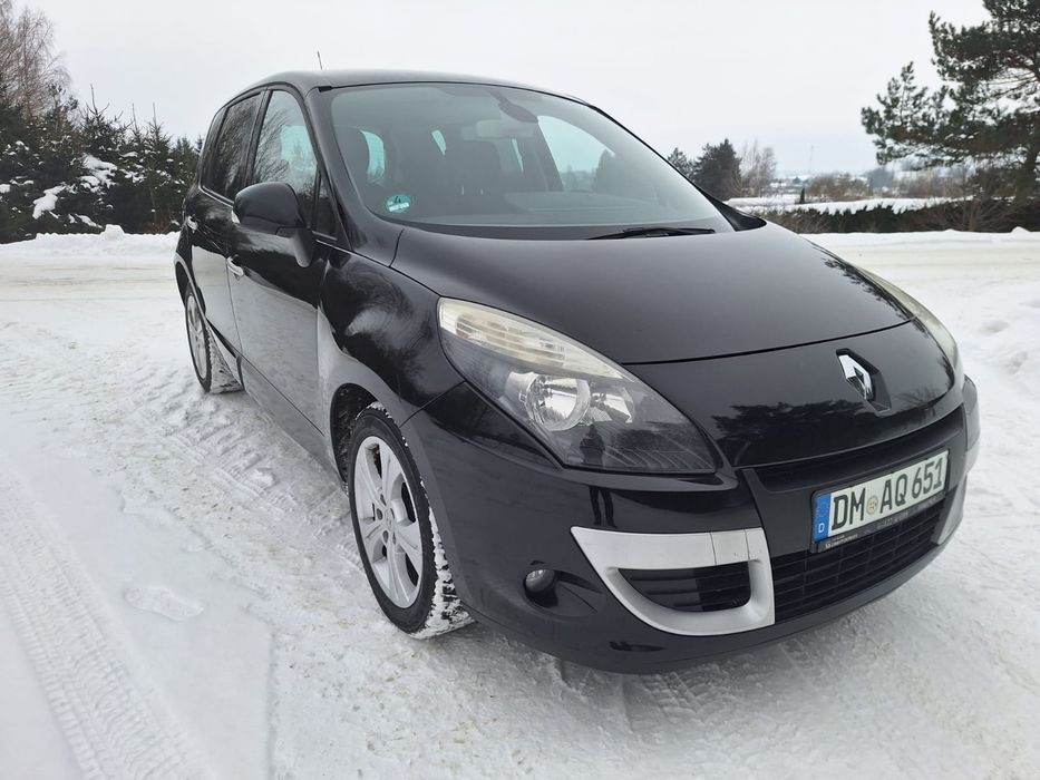 Ładny Scenic lift,  2010 rok, sprowadzony