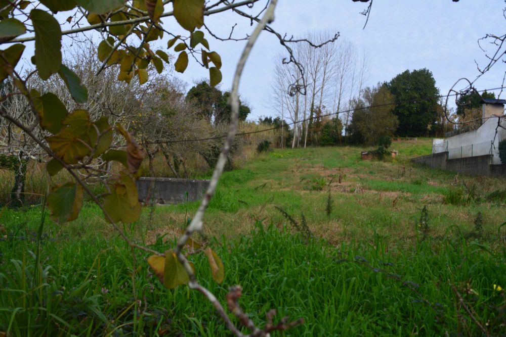 Terreno Urbano em Nariz Aveiro