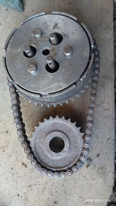 Корзина щеплення Ява старушка.