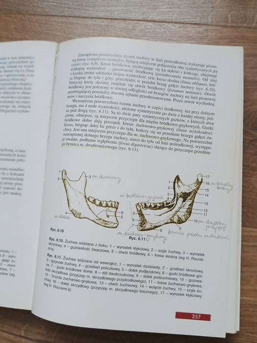 Chirurgia szczękowo-twarzowa Leszek Kryst