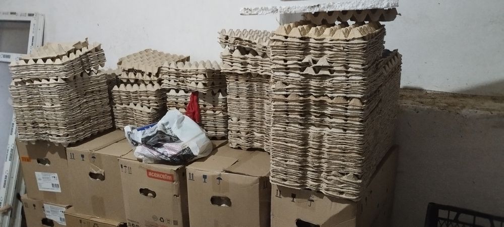 Лотки для курячих яєць.