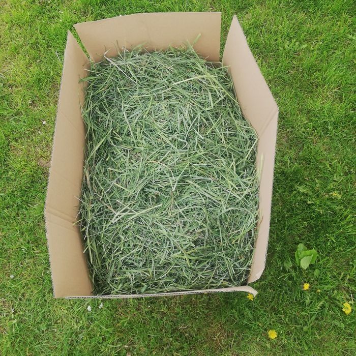 Siano łąkowe i z suszarni 2 kg 23zl