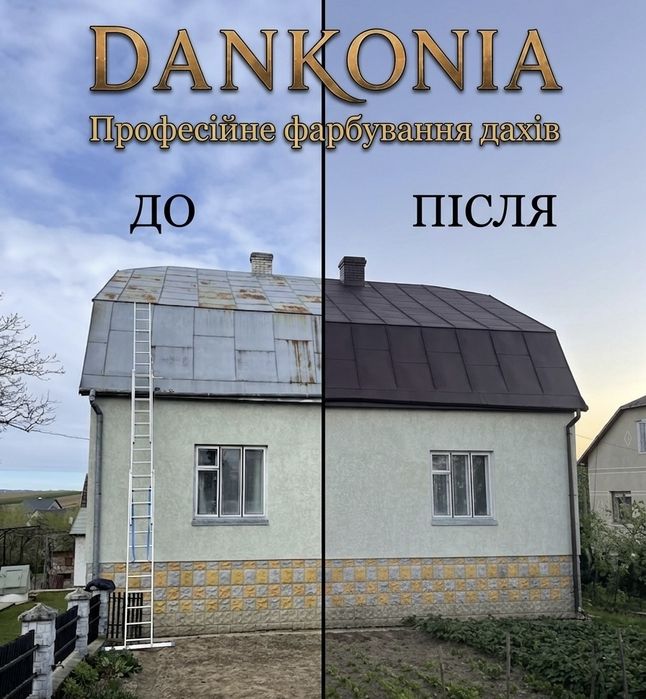 Професійне фарбування дахів