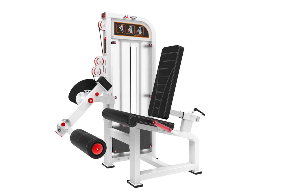 Haryzma Sport VR2 PREMIUM -maszyna na wyprosty ud -leg extension