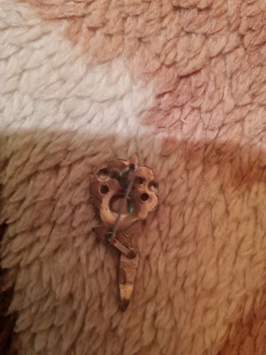 Spinka góralska  mini