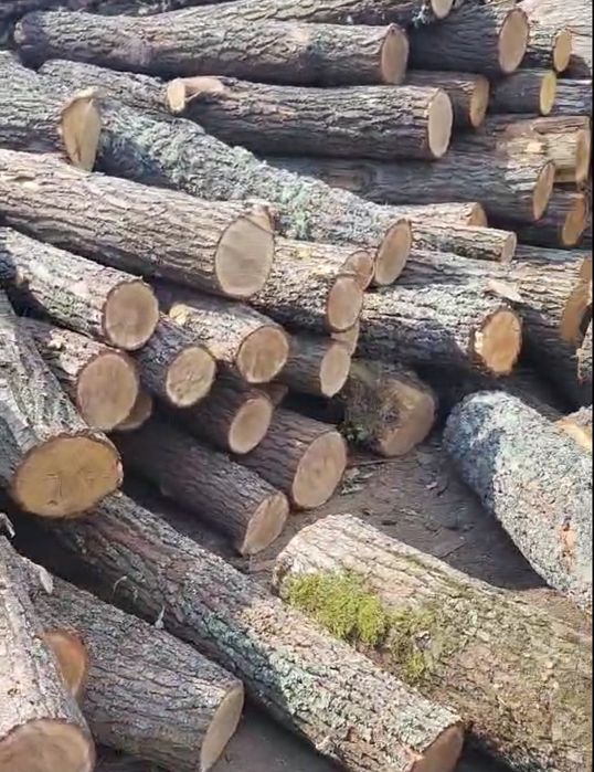 Дрова ТВЕРДИХ порід. Мінімальна ціна. С доставкою. 3/6/8/16 СК/м