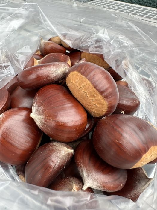 CASTANHAS FRESCAS – Produção Própria