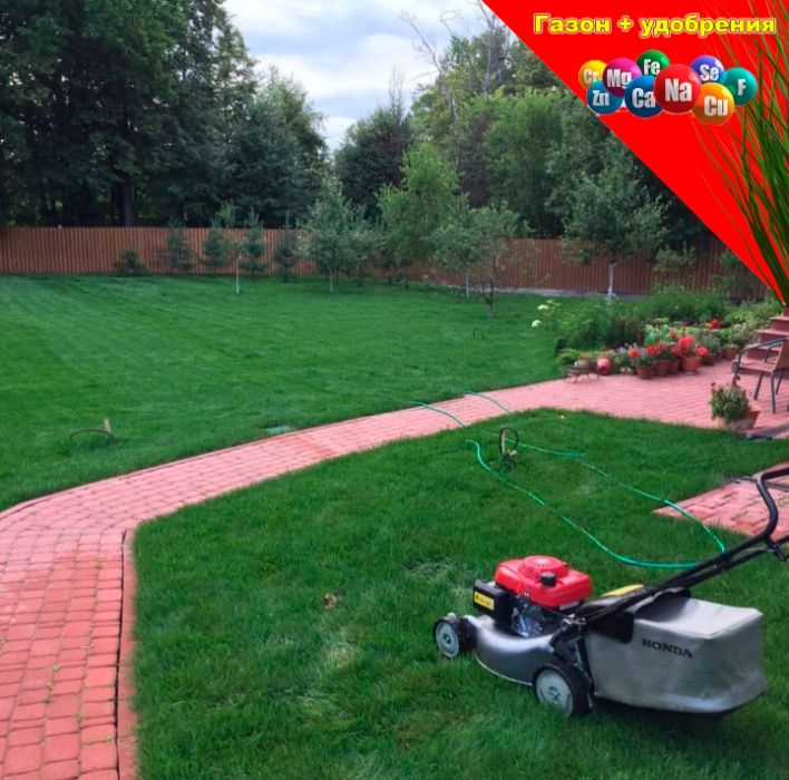 Газон СПОРТ-мини 5кг НА 100м2 выносливая трава для нагрузки игр спорта