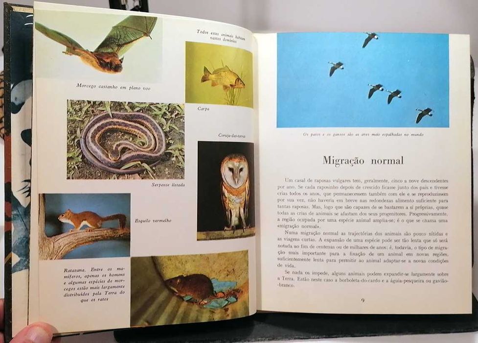 Migrações (1969)