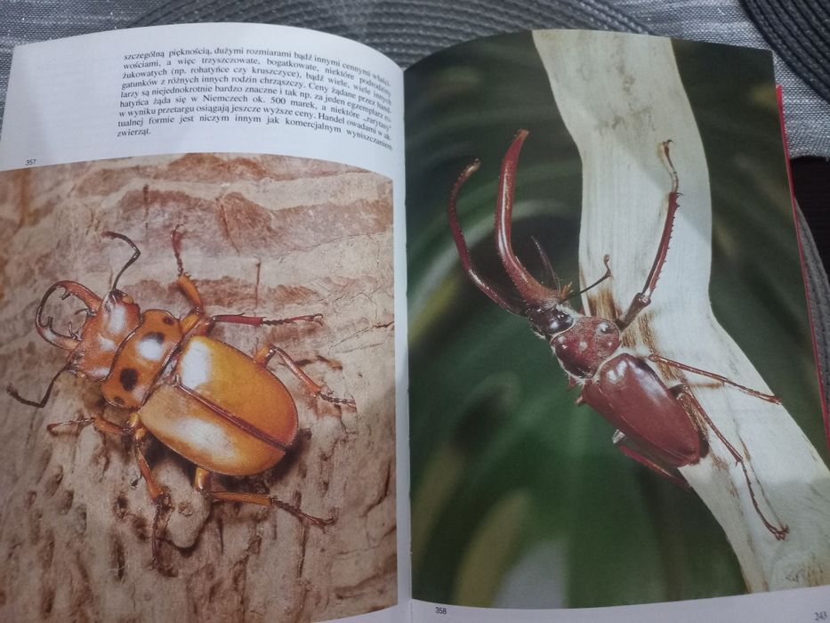 Encyklopedia owadów Chrząszcze