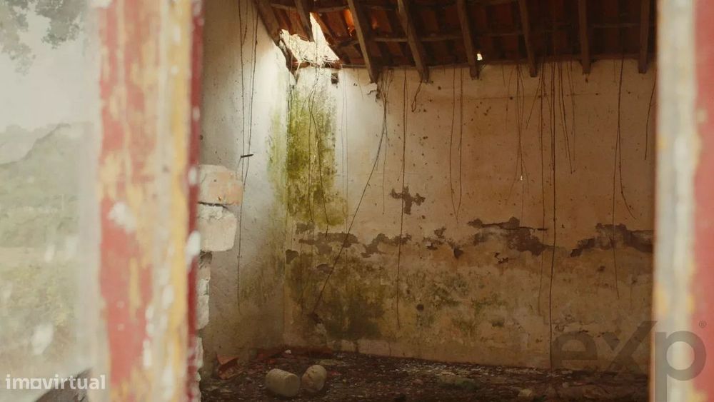 Quinta Florestal de 12,5 Hectares com Casa de Lavrador Centenária em B