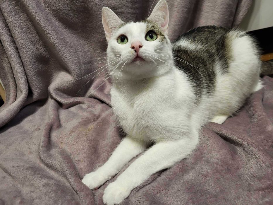 Lenka szuka swojego człowieka