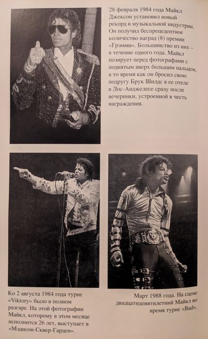 Майкл Джексон. Жизнь короля