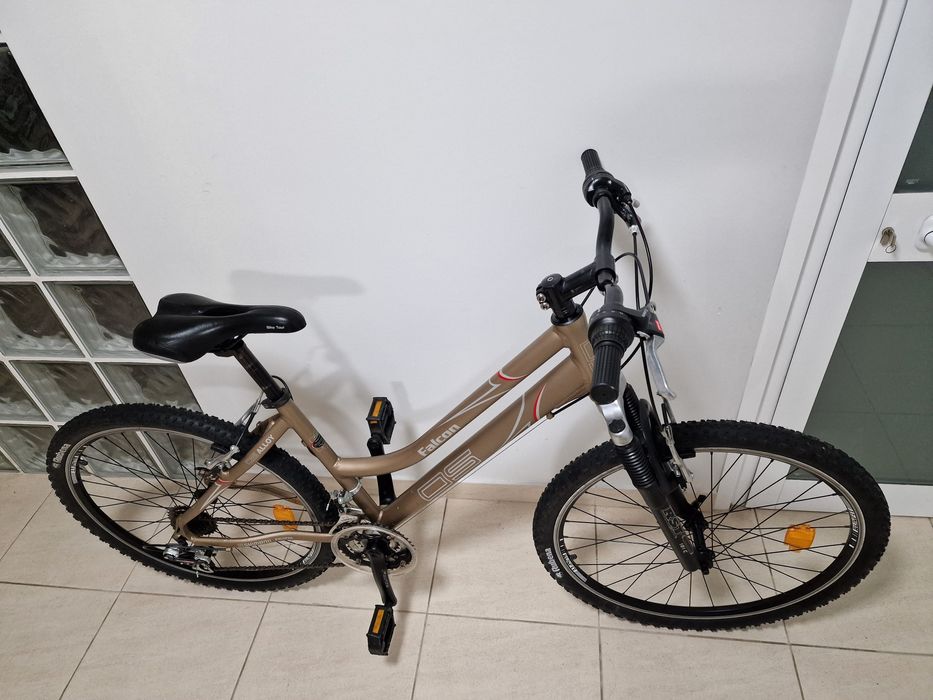 Bicicleta MTB DS Falcon Roda 26