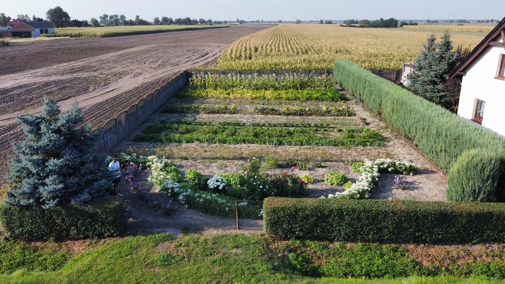 Działka budowlana - Widok 6