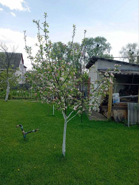 Без % Продам будинок 103кв.м. с.Проців, 30км від метро Бориспільська