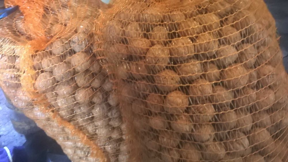 Orzechy Włoskie  Ekologiczne OKAZJA 2025