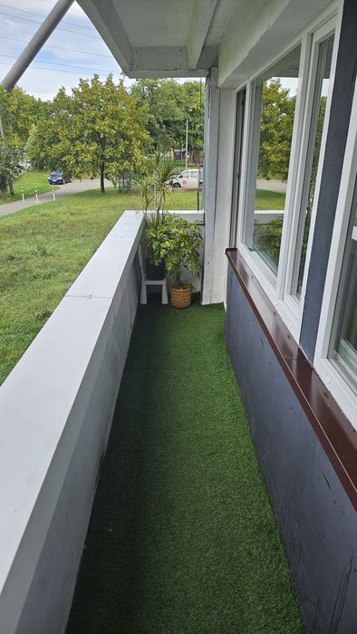 Zdjęcie 3